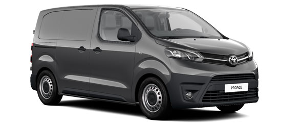 Proace business