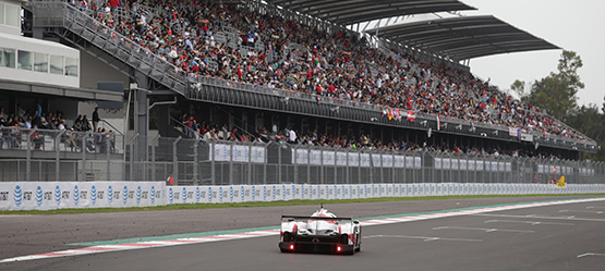 TOYOTA GAZOO Racing :: FIA WEC